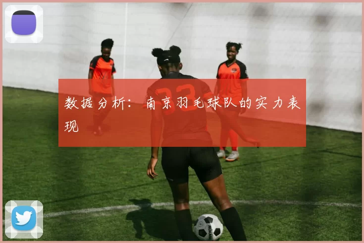 数据分析：南京羽毛球队的实力表现