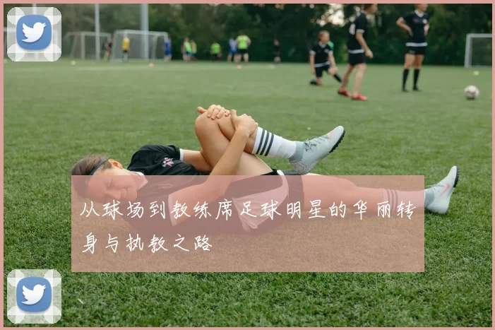 从球场到教练席足球明星的华丽转身与执教之路