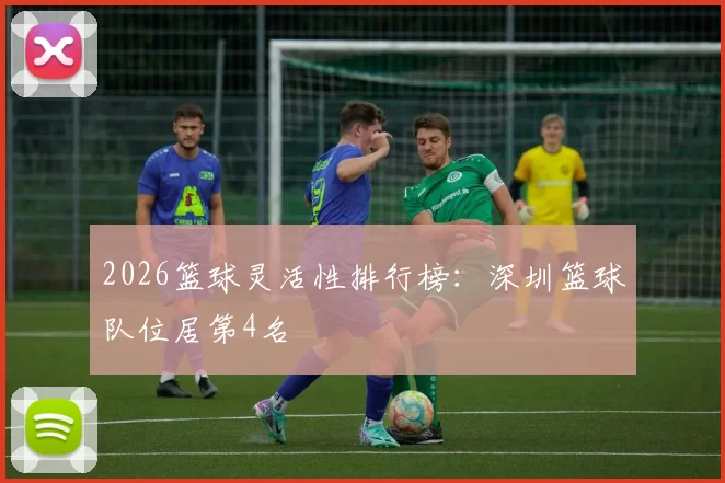 2026篮球灵活性排行榜：深圳篮球队位居第4名