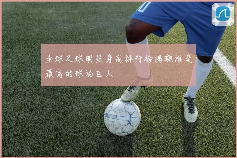 全球足球明星身高排行榜揭晓谁是最高的球场巨人