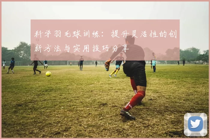 科学羽毛球训练：提升灵活性的创新方法与实用技巧分享