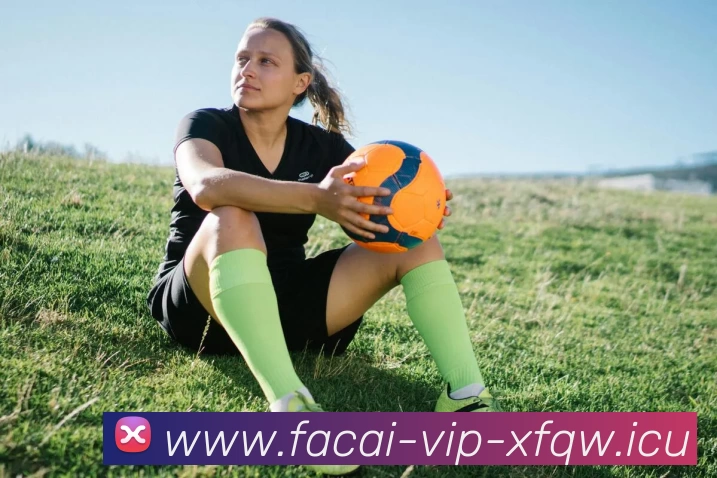 开云体育服务体系