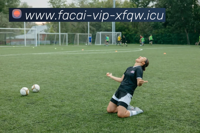 开云体育APP 体育赛事宣传图